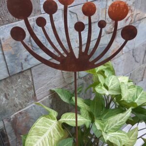 TUTOR AGAPHANTUS MEDIANO Y GRANDE