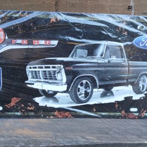 FORD F100 30X15CM